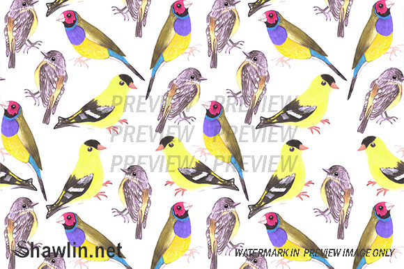 Birds in Yellow Tints Shades
