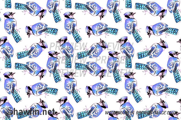 Blue Jay Bird Background and Patterns