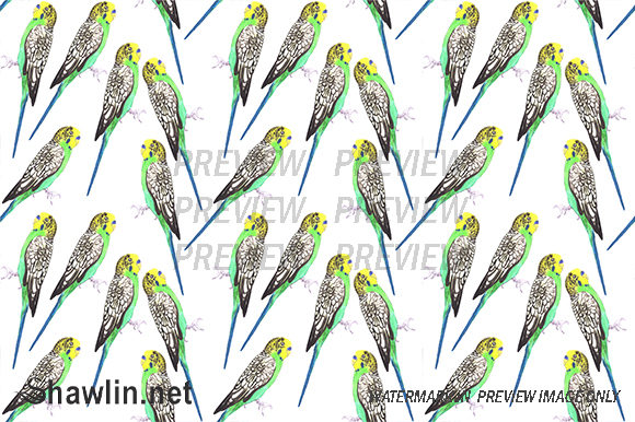 Budgerigar or Budgies Bird Patterns
