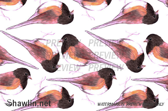 Dark Eyed Junco Background and Patterns