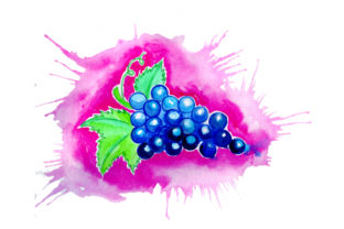 Grapes in Watercolor Paint Splatter Style for Food Amp