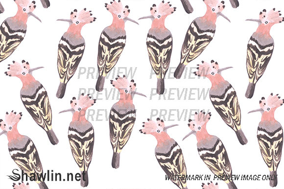Hoopoe Crown Bird & Patterns