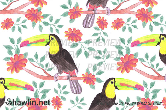 Toucan Bird Flower Background
