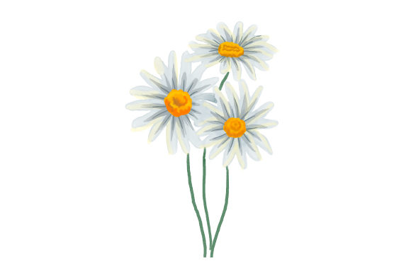 Watercolour Daisies for Nature Amp Creations